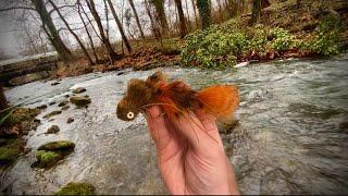 I Hooked The BIGGEST BROWN TROUT of My Life! (Streamer Fishing)