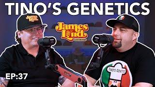 James Loud Podcast EP #37 - Tino's Genetics