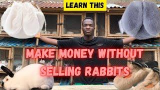 Rabbit farming || make money without selling rabbits