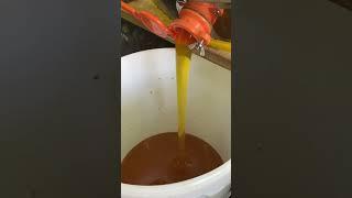 Откачиваем мёд на природе #пчеловодство #bee #honey #мёд #пчёлы #одинденьиз #жизньвдеревне