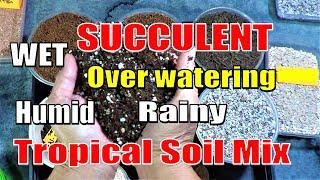 How to make a SUCCULENT TROPICAL Master Soil Mix | Growing Succulents with LizK