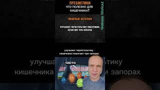 Как пробиотики и пребиотики помогают вашему здоровью!? #здоровыйобразжизни #пробиотики
