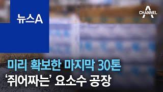 미리 확보한 마지막 30톤…‘쥐어짜는’ 요소수 공장 | 뉴스A