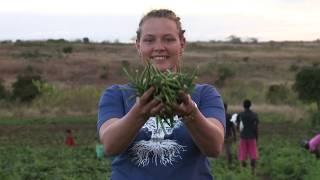 Farmer led irrigation development in Africa, example from Mocambique