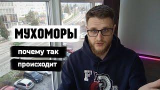 Почему ты ешь мухоморы, а жизнь не меняется...