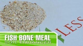 Fish Bone Meal - How to apply and why you should use it