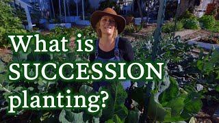 Succession Planting Explained | How to Grow Vegetables for Efficiently