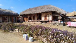 【4K】Andong, Korea - Hahoe Folk Village Walk - Autumn Scenery