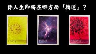 CC字幕｜占卜你人生將在哪方面「轉運」？（請接住）