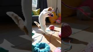 Playful Cat Antics #ai #creative #cat #funny#cute