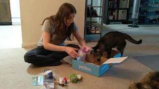 PetBox Unboxing & COUPON CODE | July 2019