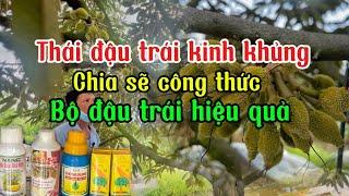 Tập 55_Thái đậu trái kinh khủng? Chia sẽ công thức bộ đậu trái chạy trái cực kì hiệu quả.