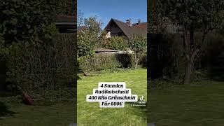 Radikaler Heckenschnitt #garten #hecke #handwerk #gartentipps #gartenliebe #gartenarbeit