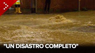 Alluvione a Bologna, esonda il rio Brolo e allaga San Lazzaro di Savena: "un disastro completo"