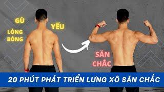  20 Phút Tập Phát Triển Lưng Xô Săn Chắc Tại Nhà (Với Tạ Đơn)