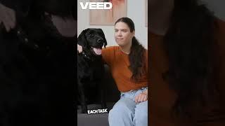 Service Dog Success Stories