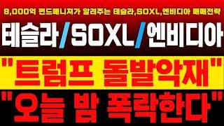 [테슬라/엔비디아/SOXL 주가분석] 월요일 큰일났다!!/#테슬라#테슬라주가#테슬라주가분석#테슬라주가전망#테슬라실적#테슬라목표가#TSLA#킴스미국주식#엔비디아#soxl#엔비디아실적