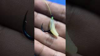 How To Install Fishing Bait To a Hook #shorts #fishing #tutorial