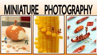 Top 30 miniature photos | MINIATURE PHOTOGRAPHY | Blue line photography | #miniature