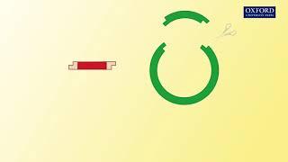 Animation 27.1 Basic principle of recombinant DNA technology