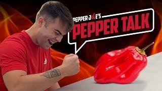 Pepper Talk RED SAVINA Review - Quinton eats one of the HOTTEST PEPPERS IN THE WORLD - 500,000+ SHUs