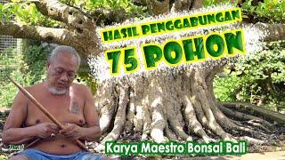 WOOOOWWWW ‍️‍️‍️KARYANYA TAMPIL DI MAJALAH BONSAI FOKUS DI BELANDA || Bpk. Gede Merta