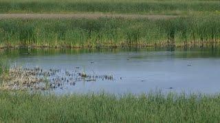 AgweekTV: WOTUS Clarification Act