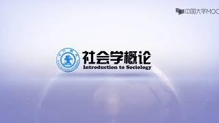 第七讲社会分层与社会流动