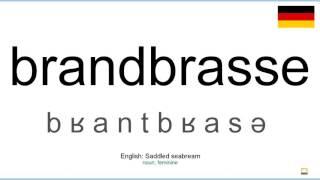 How to pronounce: Brandbrasse (German)