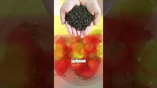  Вырастить крупную и сочную клубнику легко! Сохраняете лайфхак #огород #клубника