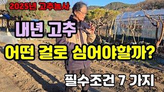 다수확 비결! 고추품종을 고를 때 꼭 살펴봐야할 7가지