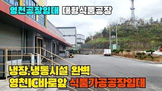 (S417)영천ic바로인근 대형식품공장임대 냉장.냉동시설완벽한 영천식품가공공장임대 영천공장임대 영천부동산 부지2510평 연면적1216평 보증금5억원/월2500만원