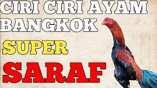 Jangan salah pilih. Inilah Ciri-ciri Fisik Ayam Super Saraf.