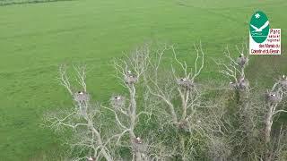 Le Pnr des Marais du Cotentin et du Bessin  au printemps : Aure et Vire