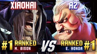 SF6 ▰ XIAOHAI (#1 Ranked M.Bison) vs 大地の民A2 (#1 Ranked E.Honda) ▰ High Level Gameplay