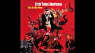 Living Blues Experience CD This Is The Time