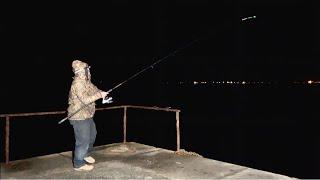 LOADS of ACTION at HOLYHEAD BREAKWATWR️ UK Sea Fishing