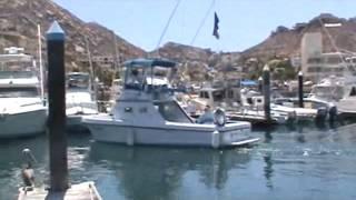 CABO SAN LUCAS SPORTFISHING CHARTERS. JC SPORTFISHING. FISHING CABO. BOB MARLIN.CABO FISH REPORT.