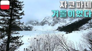 【폴란드#2】 폴란드인 최애 휴양지 자코파네 [폴란드]⎮Zakopane