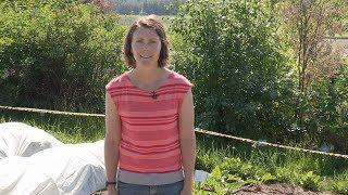 How to Choose Varieties to Grow – In the Alaska Garden with Heidi Rader