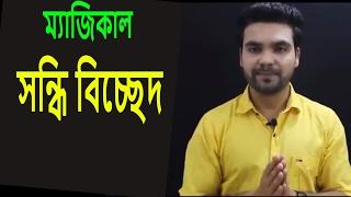 সন্ধির প্রকারভেদ ও বিসর্গ সন্ধি bangla grammar বাংলা গ্রামার||Saklain oddri