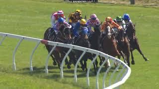 2024 Tauranga Stakes