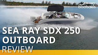 Sea Ray SDX 250 Outboard Review | boatsales