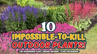 TOP 10 IMPOSSIBLE-TO-KILL OUTDOOR PLANTS!  // Gardening Ideas