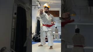 KARATE TRAINING CLIPS