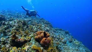 THE DROP OFF - Tulamben - Bali - Indonesia