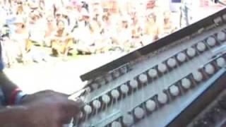 Jamie Janover - Hammered Dulcimer Loop Realms on High Sierra Music Festival Stage