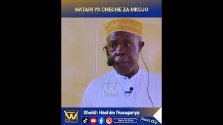 HATARI YA CHECHE ZA MKOJO--Sheikh Hashim rusaganya