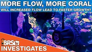 Aquarium powerheads, testing how much water flow for a reef tank | BRStv Investigates