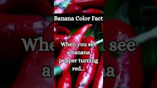 Banana Pepper Color Fact